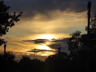 Summer Sunset Silhouette