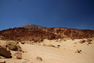 landscape in the desert