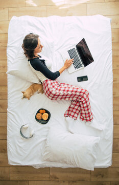 Full-length top view photo of a young brunette woman in casual clothes while she works with a laptop in bed. Happy girl studying with a dog at home