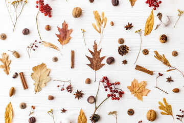 Autumn flat lay. Fall leaves, berries, acorns, walnuts, cinnamon,anise , cotton and pine cones on white background. Autumnal pattern with nature forest details