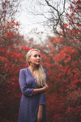 Beautiful girl in a blue dress among red leaves