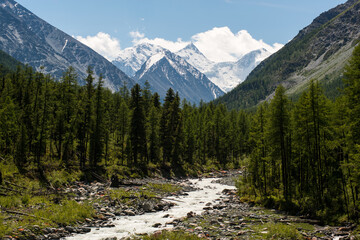 Fototapeta na wymiar the valley of river Akkem and Belukha peak - Altay