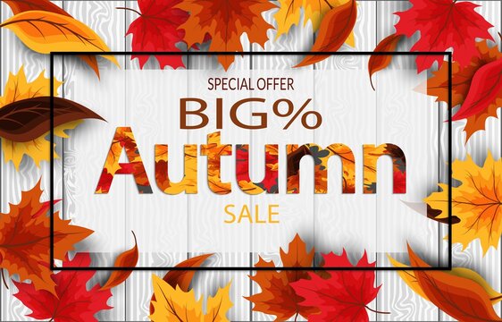 Autumn sale badge. autumn sales and discounts background