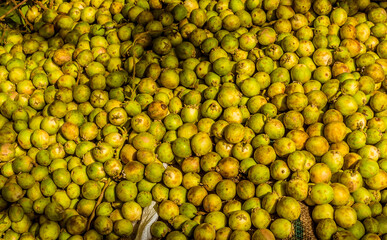 A collection of Nelli fruit ready to eat near Dambulla, Sri Lanka