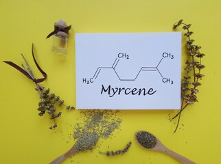 Structural chemical formula of myrcene molecule with dried herb bouquet, basil and rosemary....