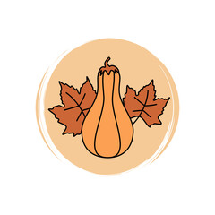 Cute Pumpkin butternut squash icon vector, illustration on circle with brush texture, for social media story and instagram highlights	