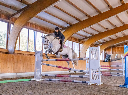 Start der Hallensaison im Reitsport: junge blonde Frau  auf Schimmel mit Knebeltrense beim Trainingsspringen in der Reithalle