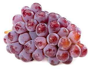 red grapes berries isolated on white background. macro. full depth of field