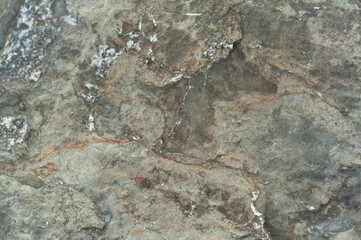 Fototapeta premium Natural stone texture. Drawing of natural wild stone