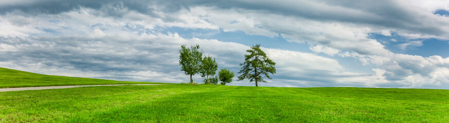 Fototapeta na wymiar Grüne Wiese und Bäume mit Himmel