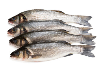 Raw whole seabass fish isolated on white