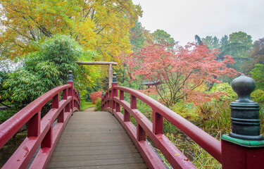Amazing colorful autumn in japanese garden in Leverkusen