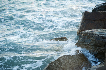 A piece of sea and stones, splashes, water, neutral background