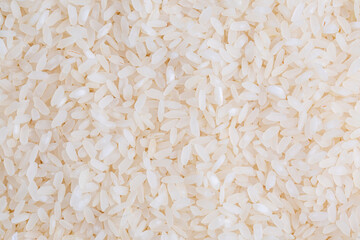 Close up of a rice background food
