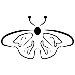 Butterfly Shape