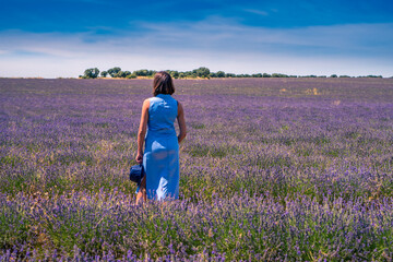 mujer con vestido azul en campos de lavanda en brihuela,GUADALAJARA