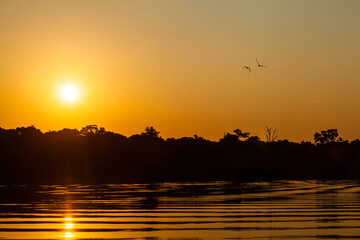 Sunrise on Amazon forest river