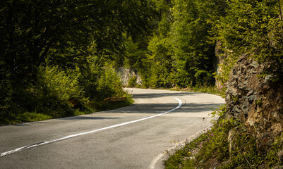 Fototapeta premium Empty road in the forest among the mountains, beautiful landscape, travel on your own in your car