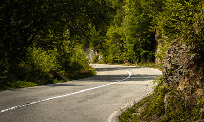 Empty road in the forest among the mountains, beautiful landscape, travel on your own in your car