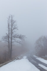 Fototapeta premium Winter scenery in a mountain forest, with frost and fresh powder snow