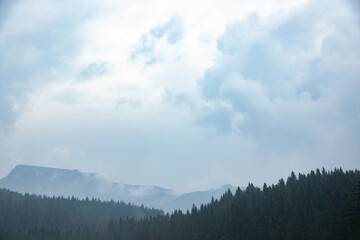 Forests in fog after rain, atmospheric photo of nature in montenegro