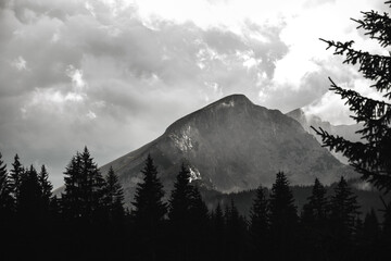 High mountain in the clouds against the background of trees, black and white epic photo