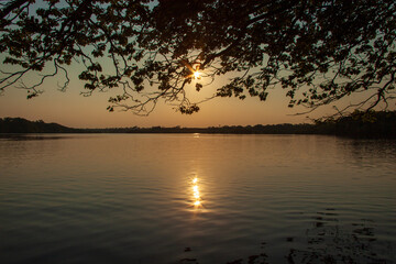 Sunrise on Amazon forest river