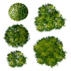 Set of watercolor Green tree top view for landscape plan and architecture layout drawing  ,elements for garden or map