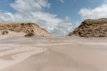 Fototapeta na wymiar Sand dunes on the beach, Terschelling, The Netherlands