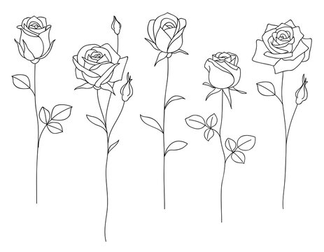 Set Of Decorative Hand Drawn Roses Isolated On White. Flower Icon. Vector Illustration