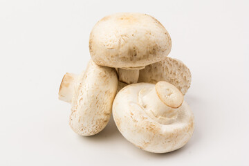 Fresh Champignon mushroom, isolated on white background. Close-up