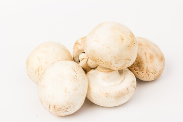 Fresh Champignon mushroom, isolated on white background. Close-up