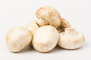 Fresh Champignon mushroom, isolated on white background. Close-up