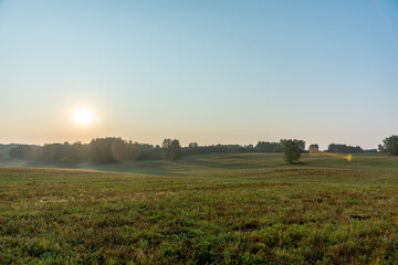 Morning light on the green summer field. Summer landscape.