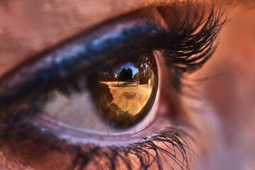 Close-up of a beautiful brown eye, surrounded by long lashes, staring at the horizon