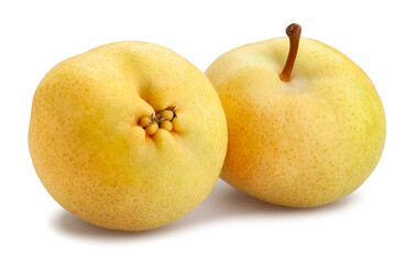 nashi pear