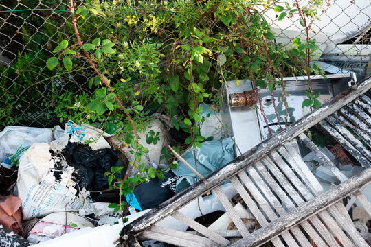 El humano invadiendo el espacio de la naturaleza con su basura| The human invading the space of nature with his garbage