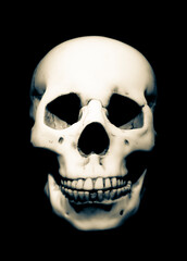 Clean, Isolated Photo of a Skull