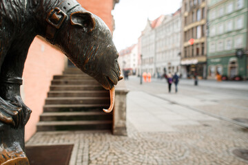 old architecture of Wroclaw