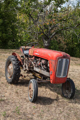 Vieux tracteur rouge exposé dans un champ
