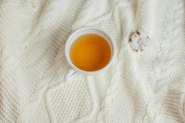 A mug of hot tea on a knitted blanket. Cozy autumn. Winter breakfast. Cotton.