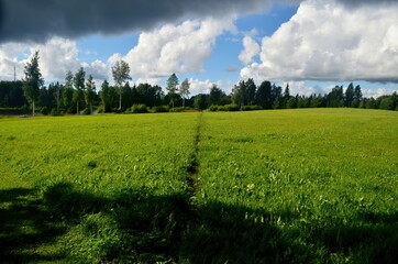 Obraz premium Black storm clouds during summer, Landscape with trees and meadows in the foreground in Latvia. Low clouds