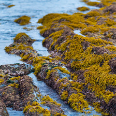 Portizuelo beach, Villar, Valdes Council, Cantabrian Sea, Asturias, Spain, Europe