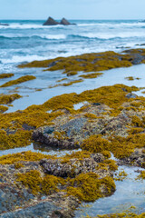 Portizuelo beach, Villar, Valdes Council, Cantabrian Sea, Asturias, Spain, Europe