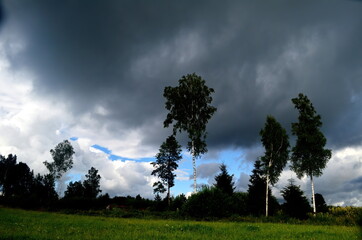 Black storm clouds during summer, Landscape with trees and meadows in the foreground in Latvia. Low clouds