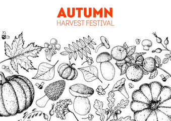 Harvest festival. Hello autumn sketch illustration. Hand drawn frame with fall leaves, pumpkins. Vector illustration. Thanksgiving design template. Sketch design.