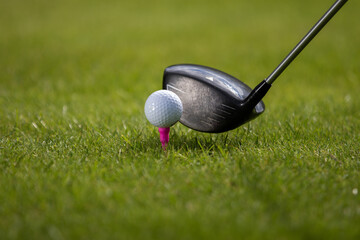 A golfer prepares to hit the ball with a driver