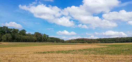 Obraz premium panorama of the landscape with trees