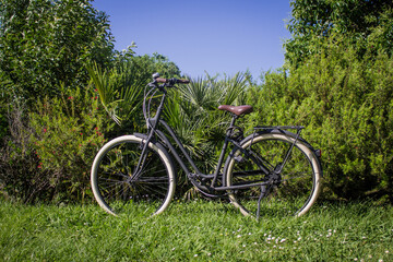 Fototapeta na wymiar Retro Bicycle in a Beautiful Nature background 