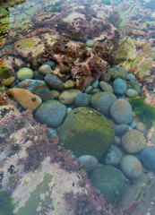 Campiecho beach, Cadavedo, Valdes Council, Cantabrian Sea, Asturias, Spain, Europe